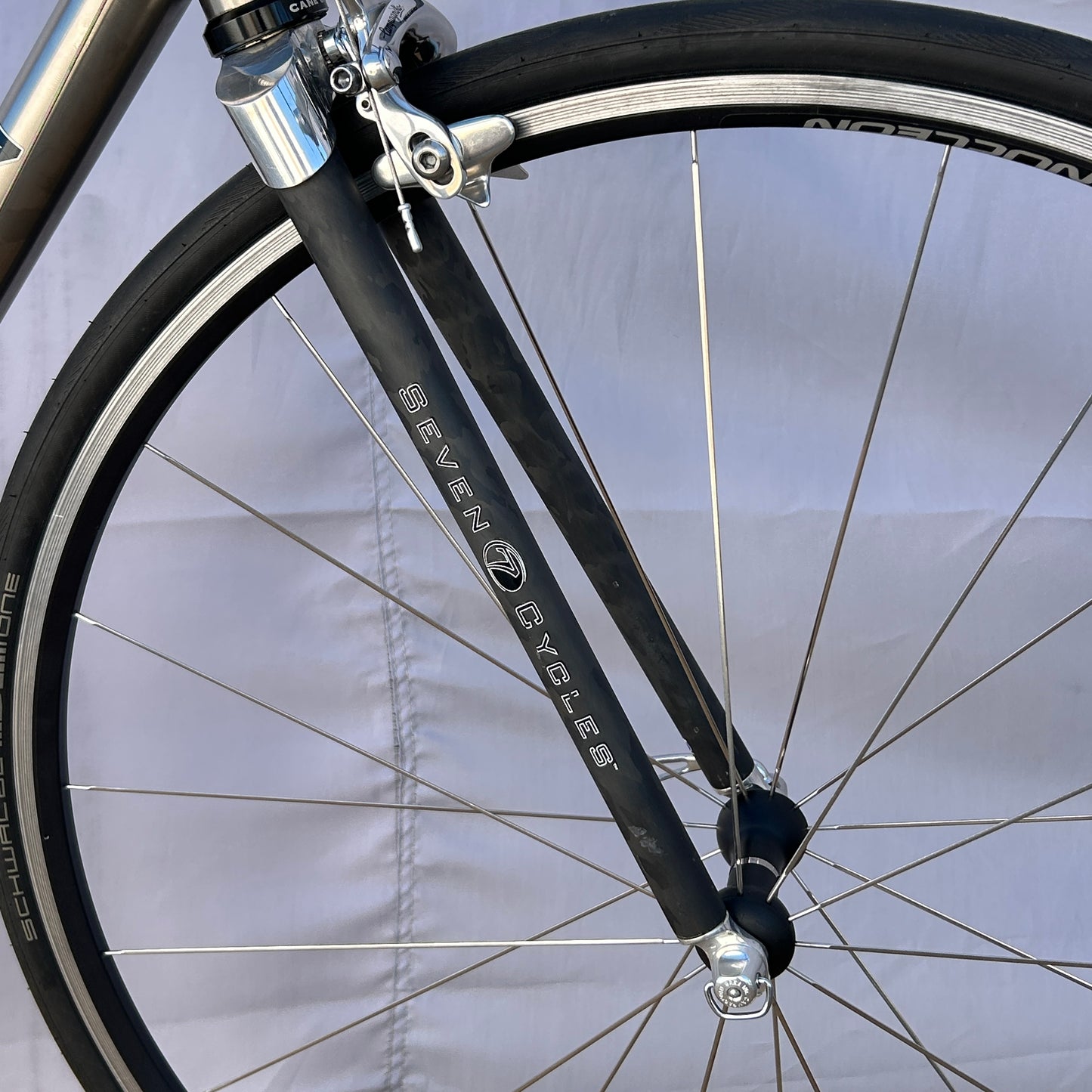 Seven Cycles Axium Road Bike 56 cm Campagnolo Record Nucleon