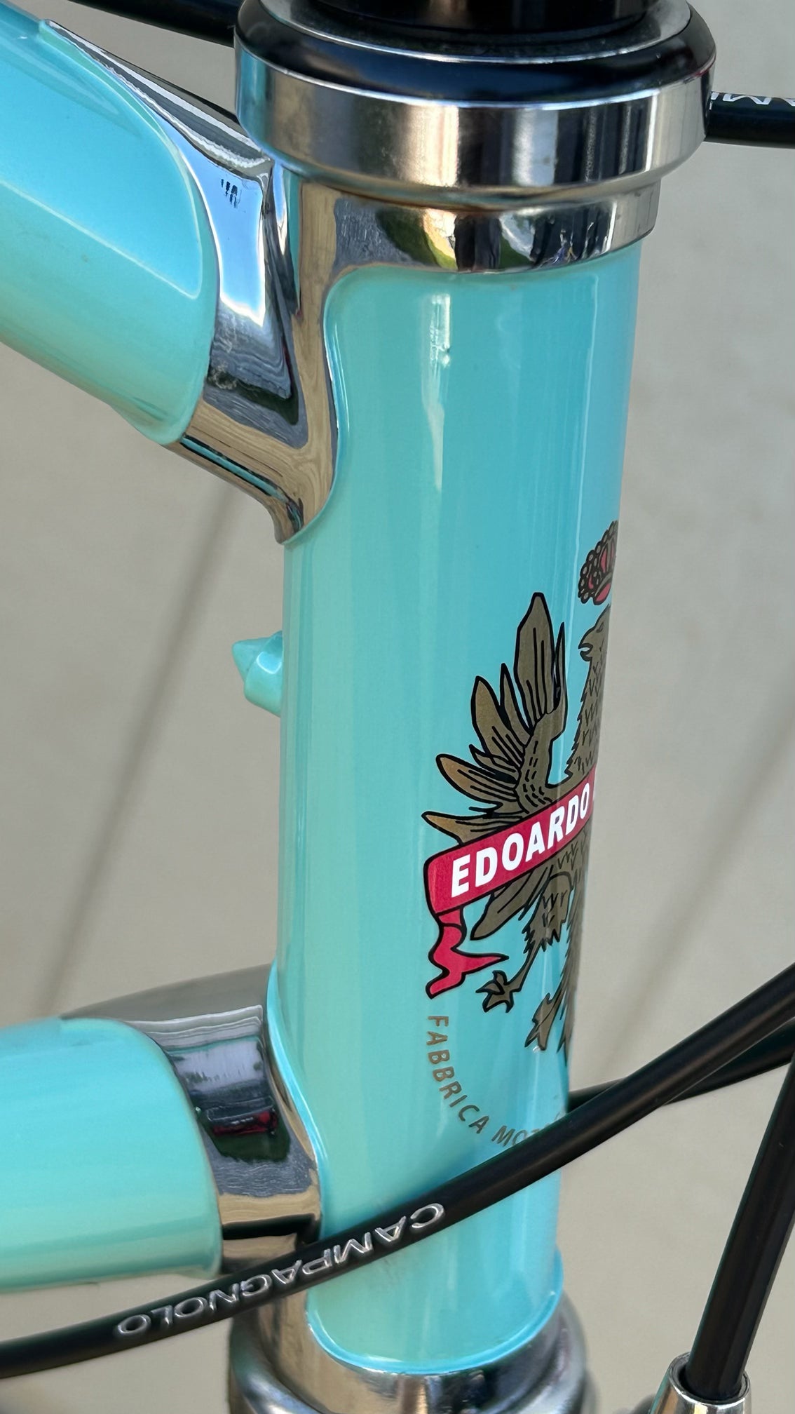 2010 Bianchi Dolomiti Classic Road Bike 56cm Campagnolo Chorus 11 Limited