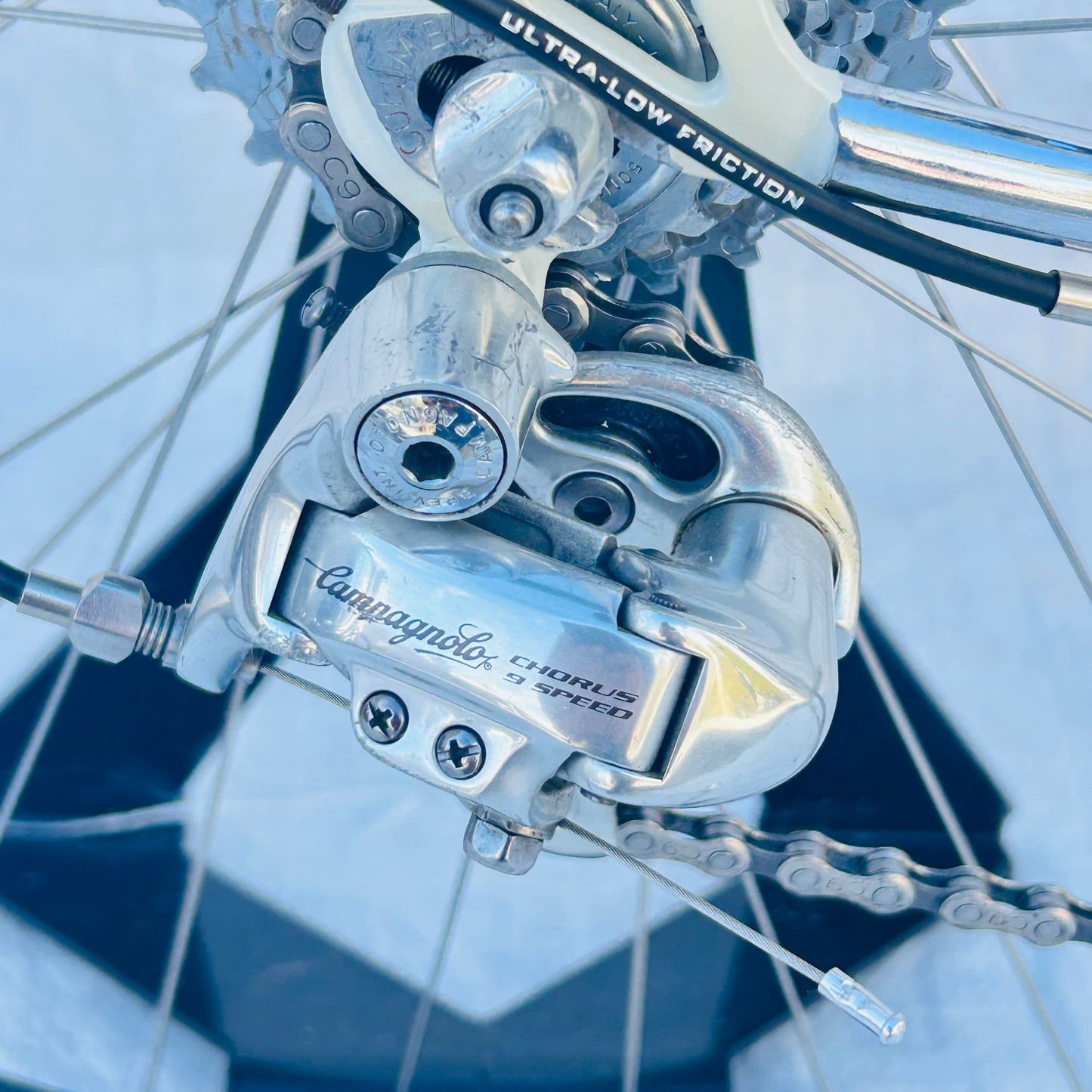 Bottecchia Vintage Bicycle Original 60cm Campagnolo Chorus 9 Speed