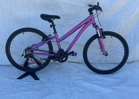 Specialized Hotrock 24" Kids Bike Purple/Pink