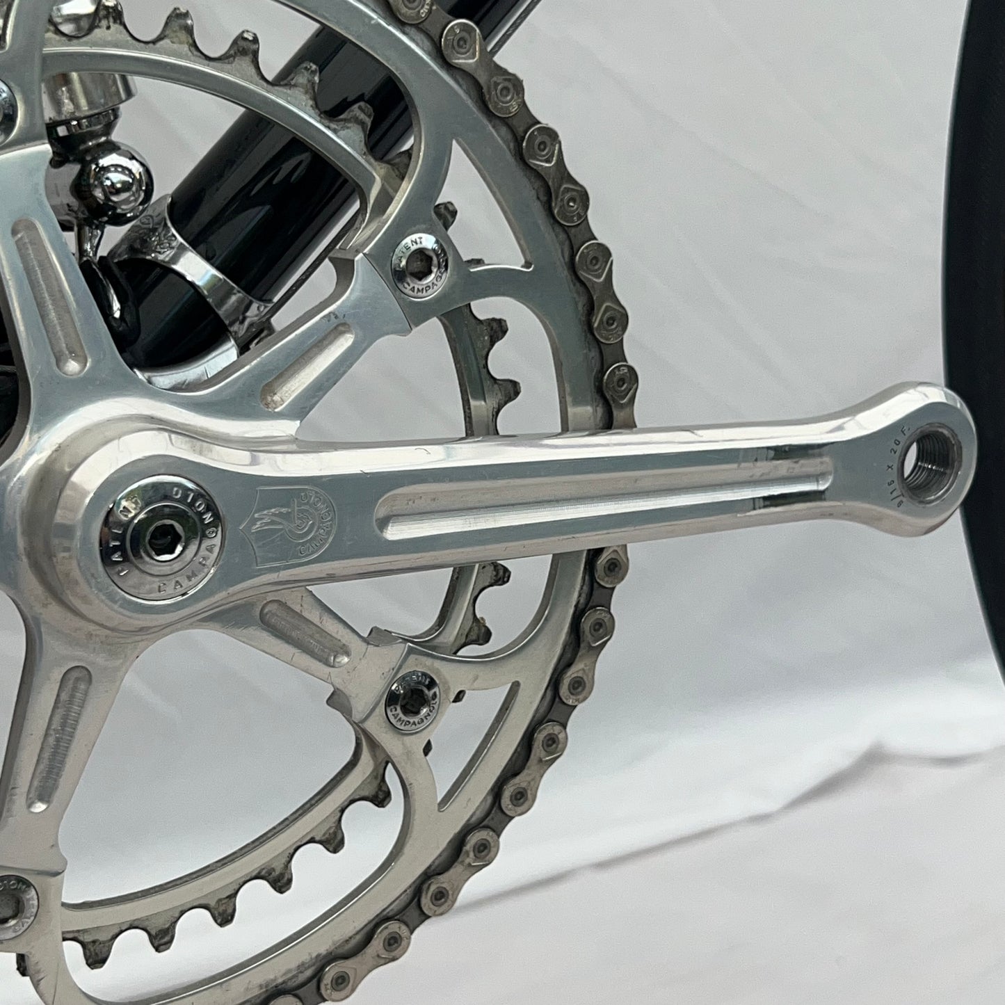 Schwinn Paramount 60 cm 1970's Full Campagnolo Vintage Bike #31