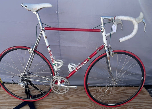 Bottecchia Campione Del Mondo Vintage Bicycle #37 Original Campagnolo